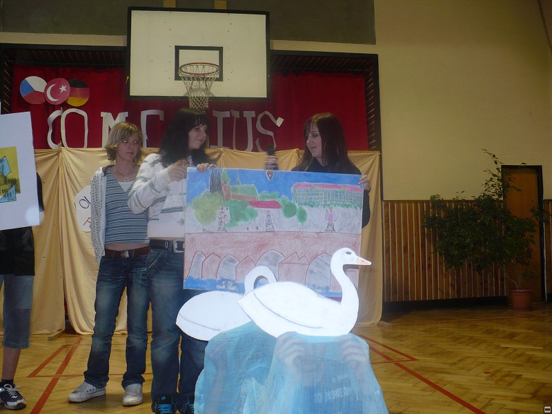 img00042.jpg