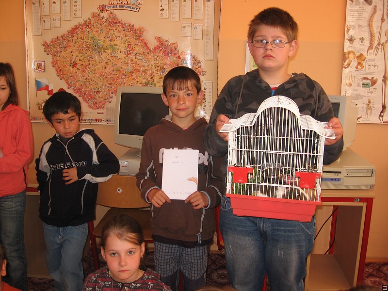 img00005.jpg