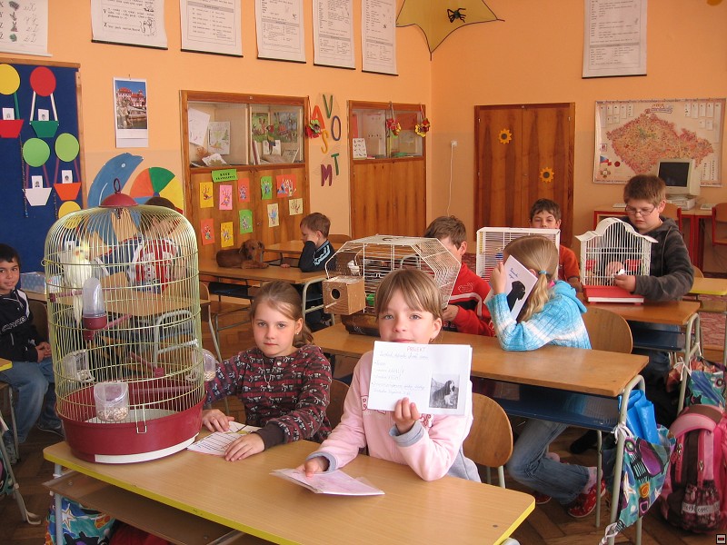 img00007.jpg