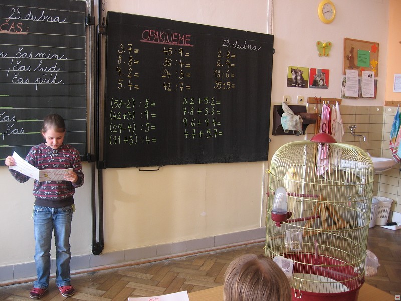img00011.jpg