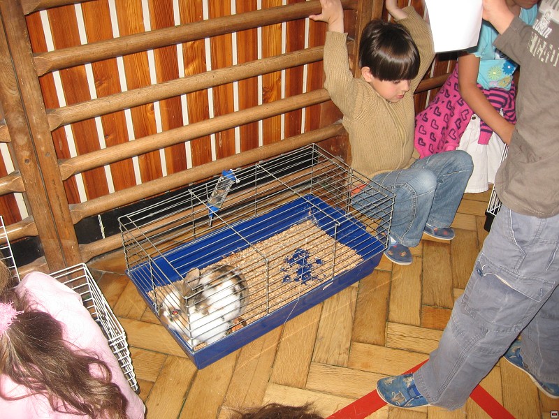 img00017.jpg