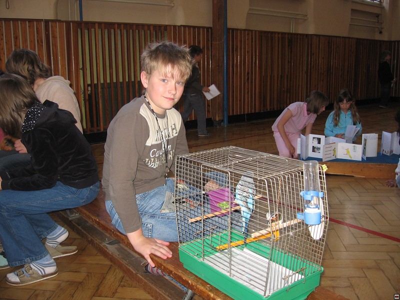img00018.jpg