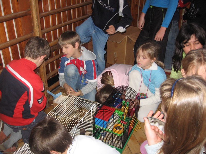 img00022.jpg