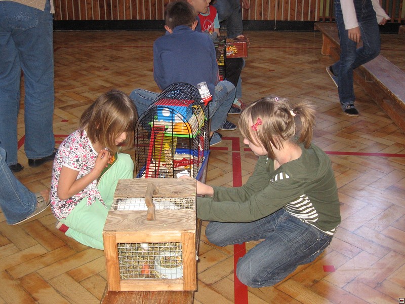 img00023.jpg