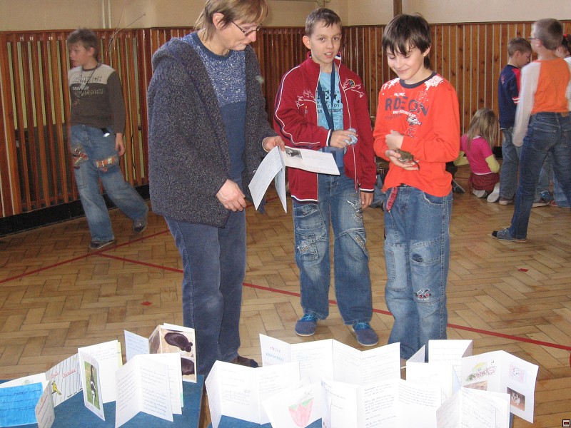 img00027.jpg