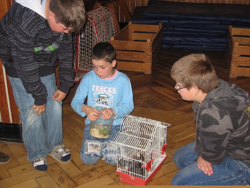 img00035.jpg