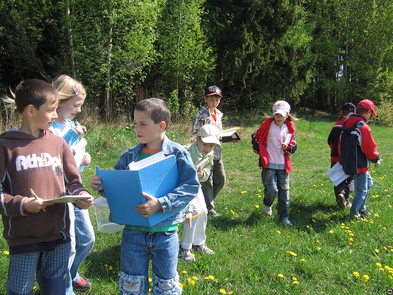 img00066.jpg