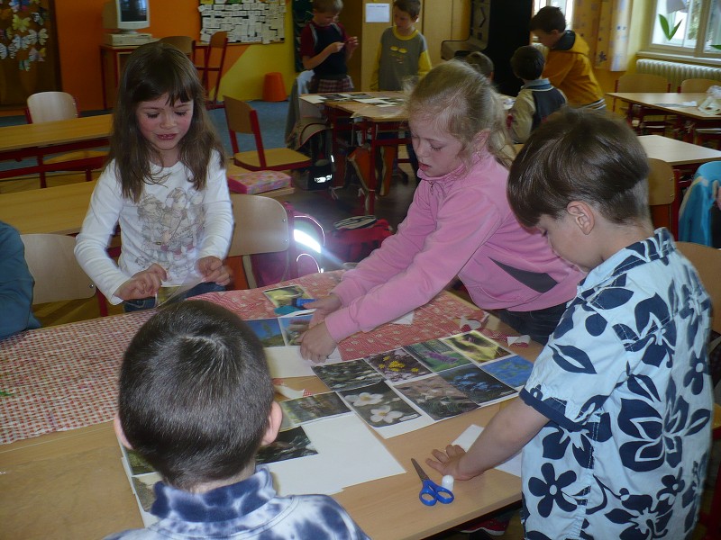 img00005.jpg