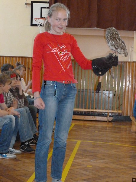 img00011.jpg