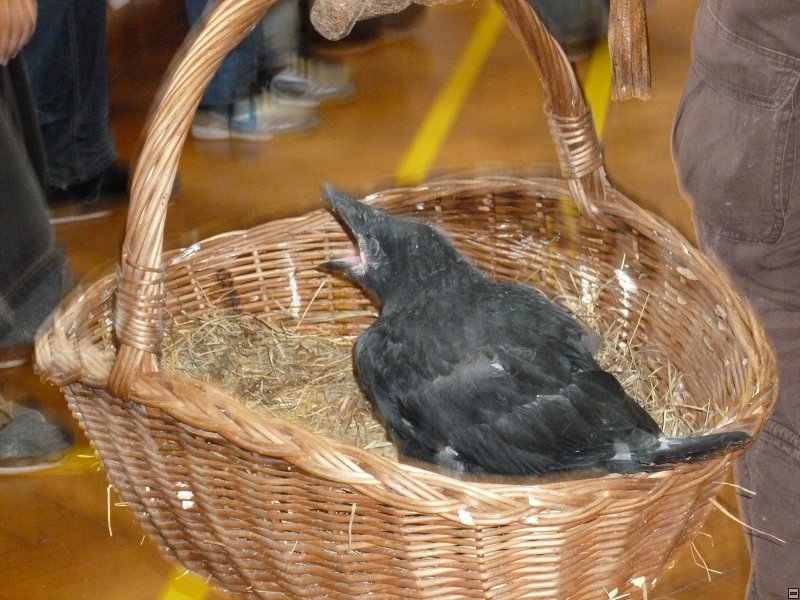 img00017.jpg