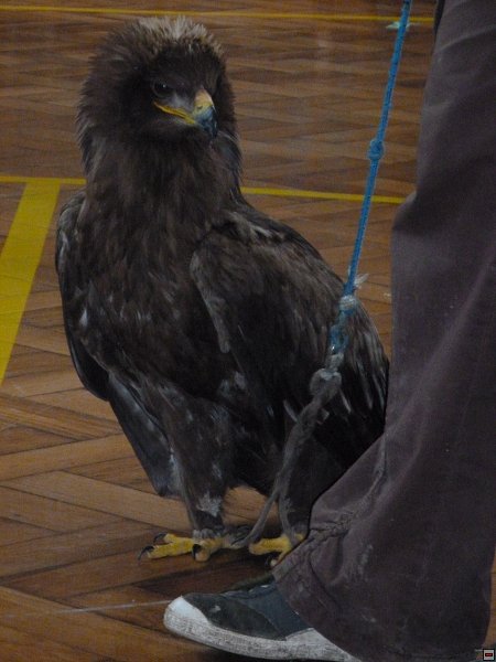 img00024.jpg