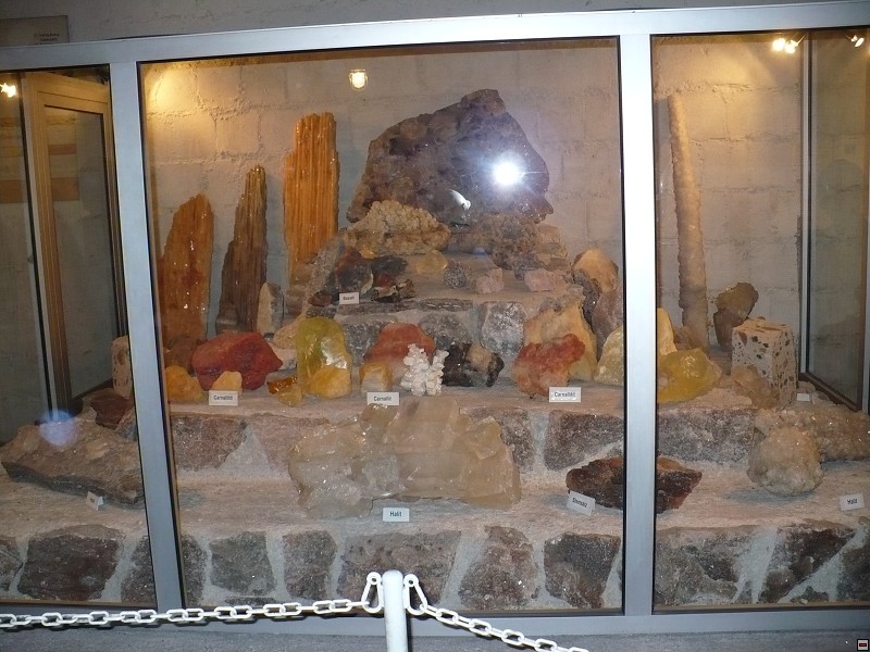 img00042.jpg