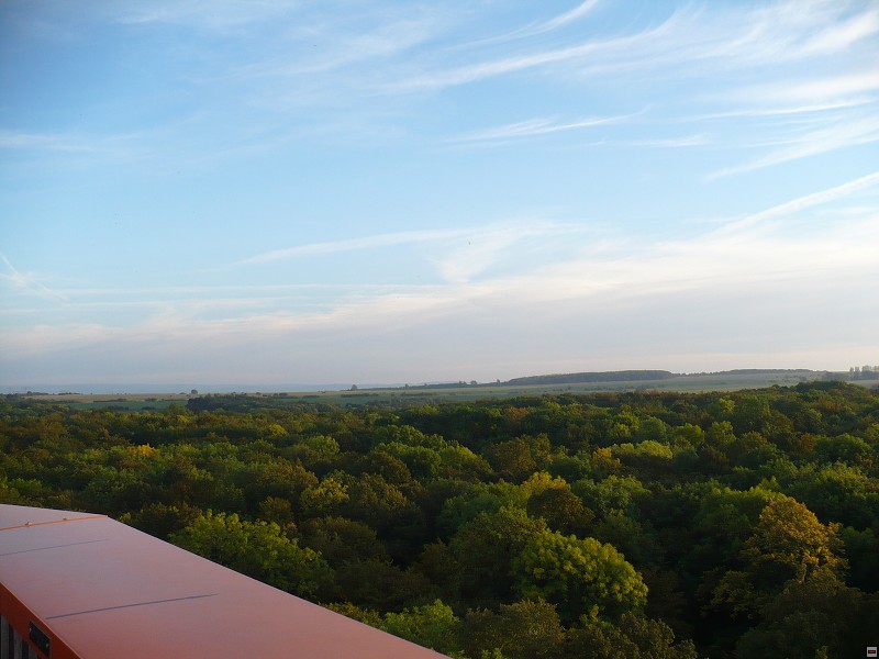 img00091.jpg