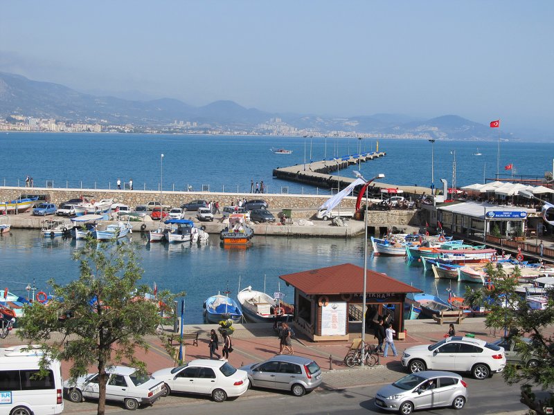 img00017.jpg