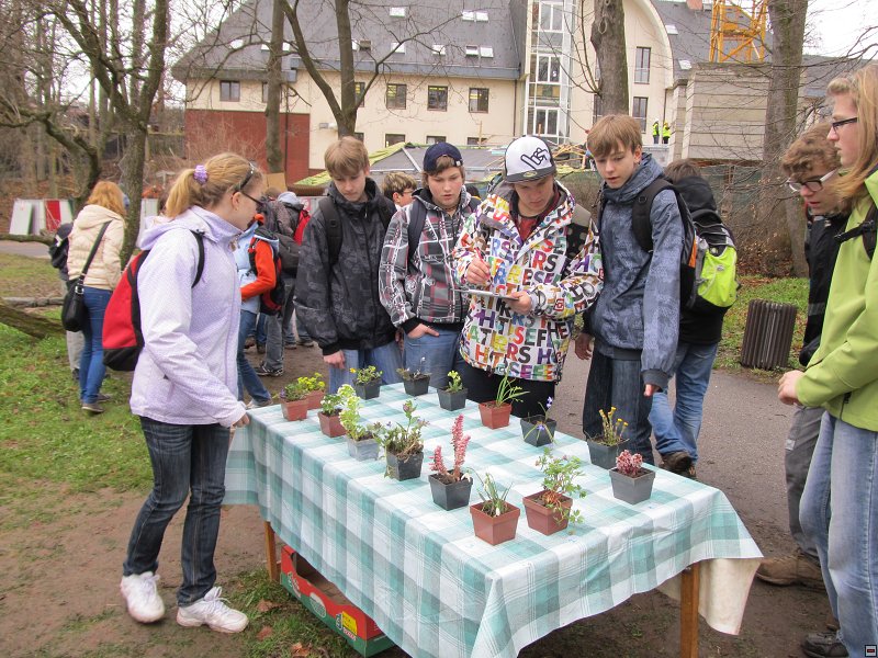img00030.jpg