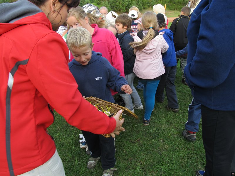 img00027.jpg