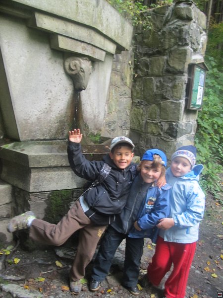 img00005.jpg