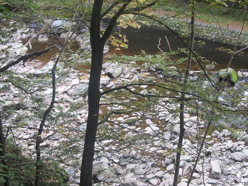 img00012.jpg