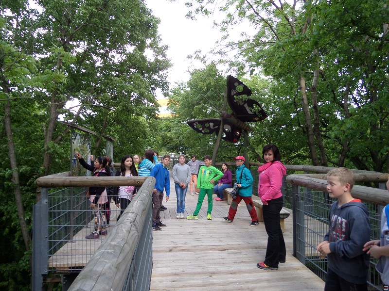 img00063.jpg