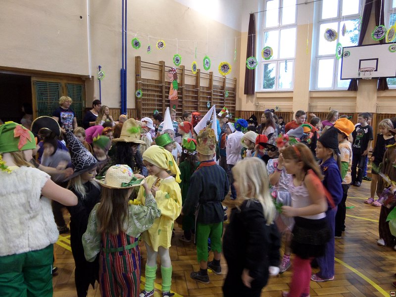 img00019.jpg