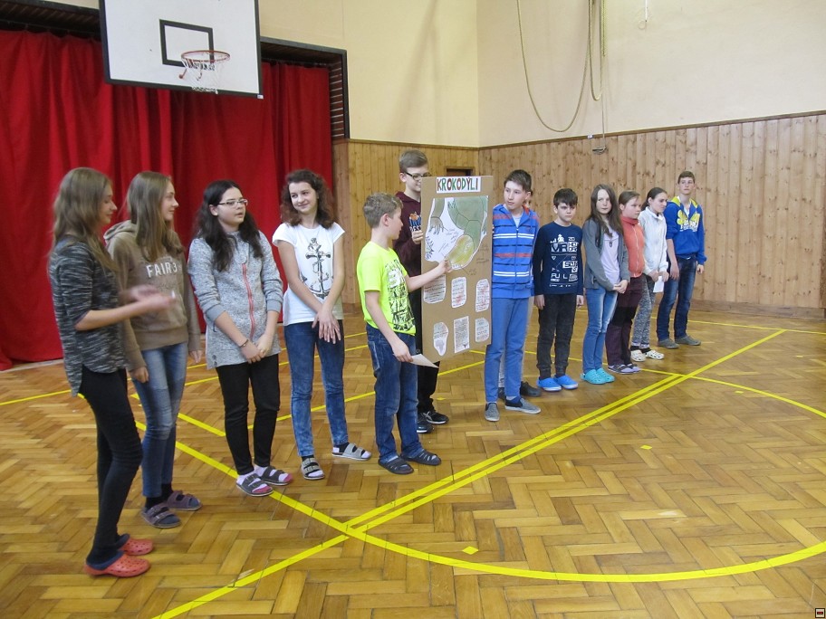 img00054.jpg
