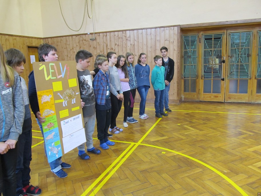 img00060.jpg