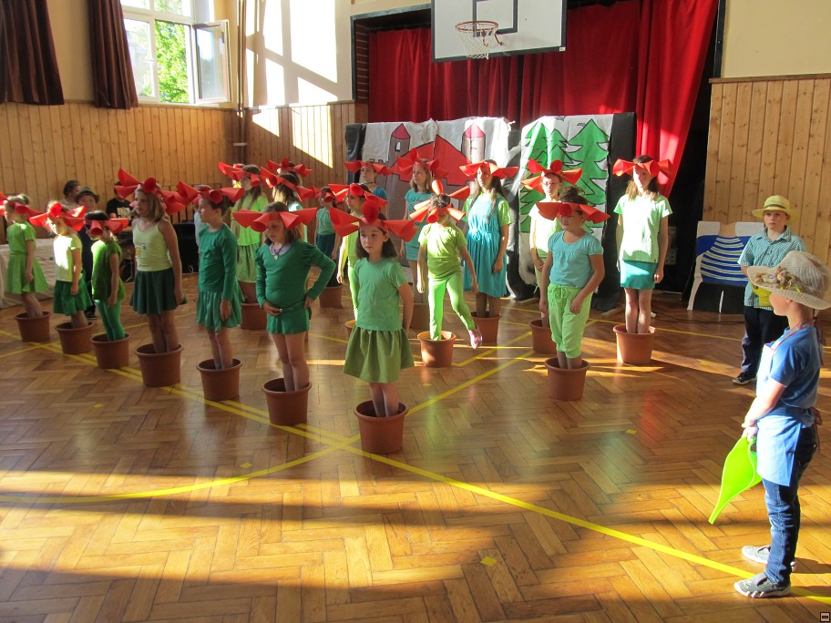 img00030.jpg