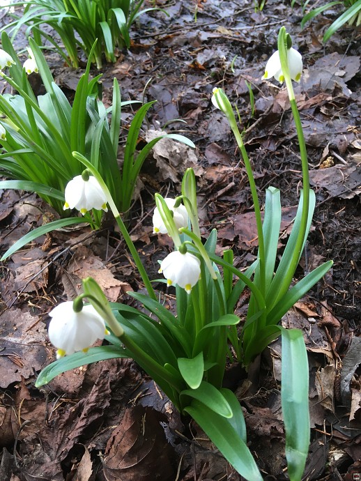 img00027.jpg