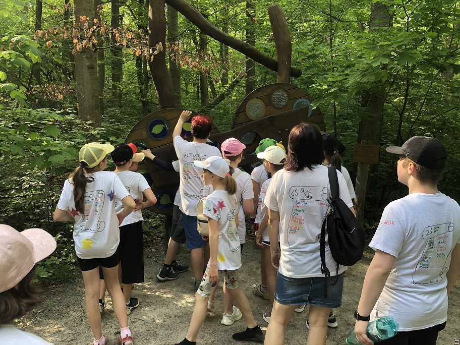 img00037.jpg
