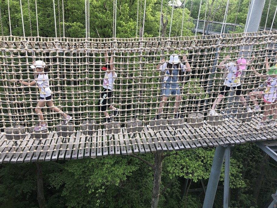 img00050.jpg