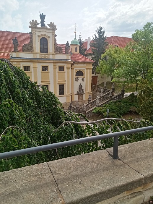 img00003.jpg