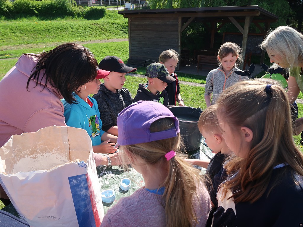 img00028.jpg