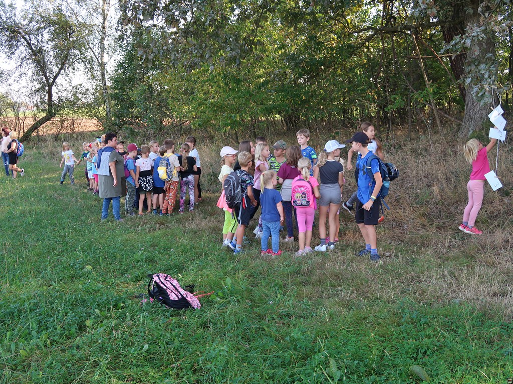 img00008.jpg
