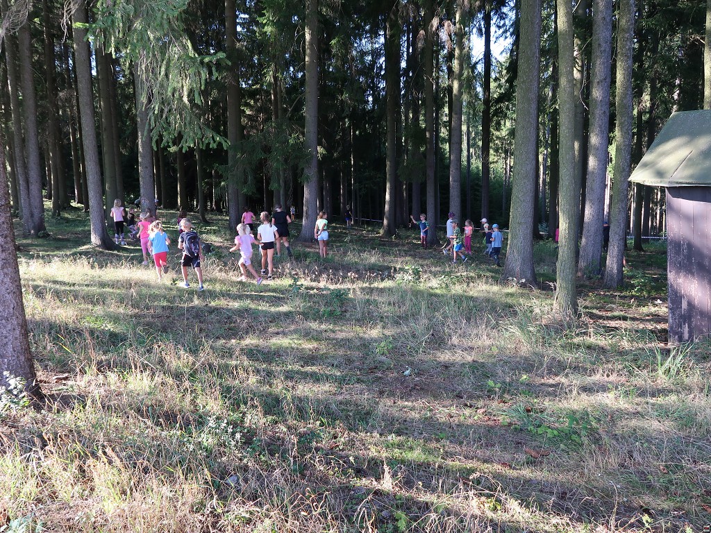 img00057.jpg
