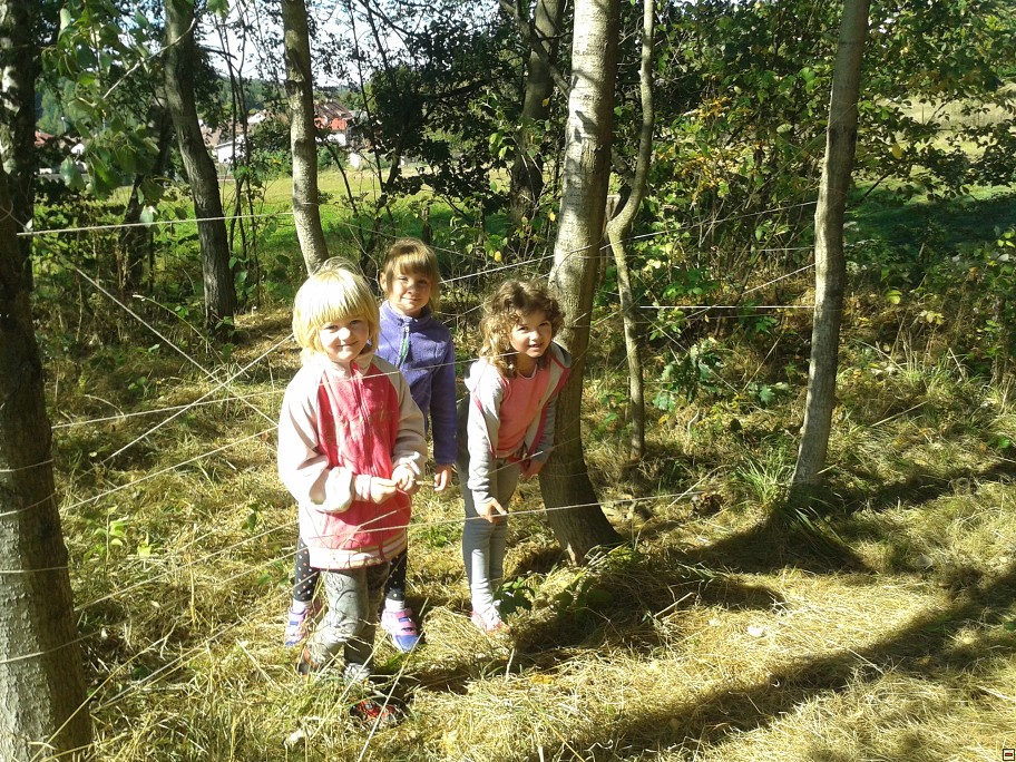 img00005.jpg