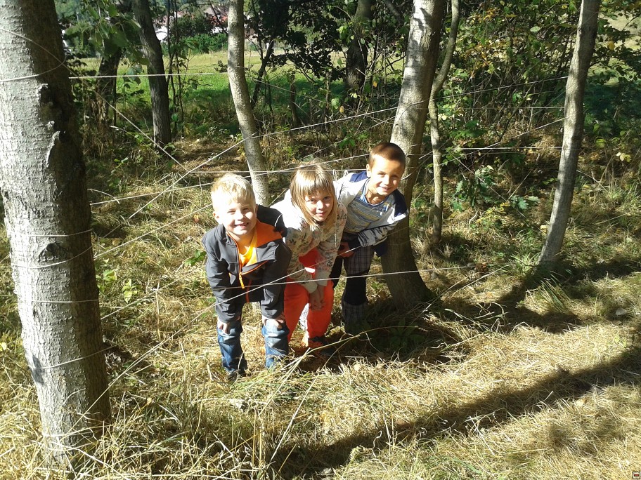 img00007.jpg
