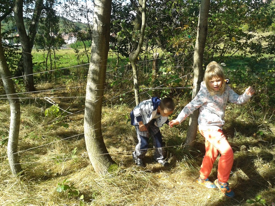 img00008.jpg