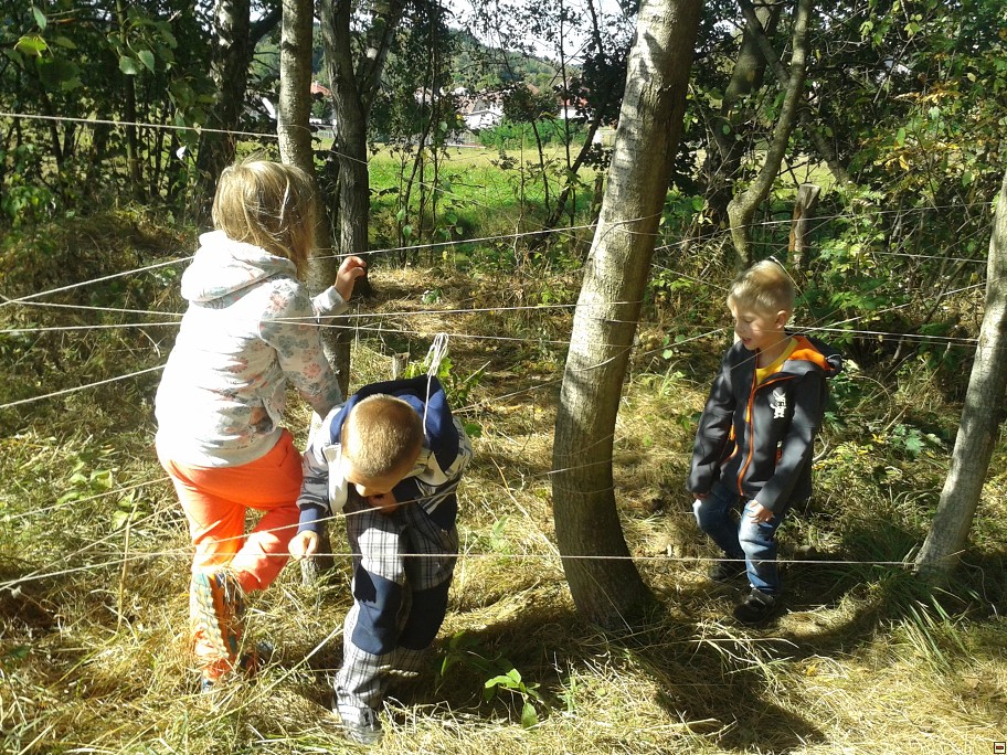 img00009.jpg