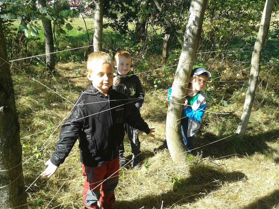 img00012.jpg