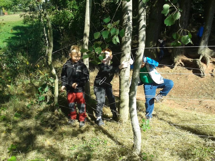 img00013.jpg