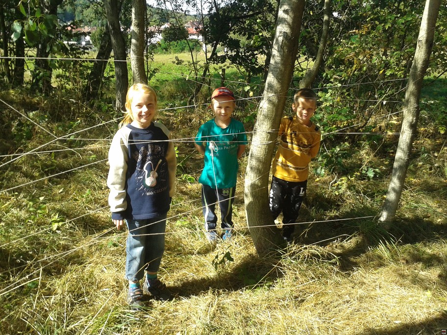 img00015.jpg
