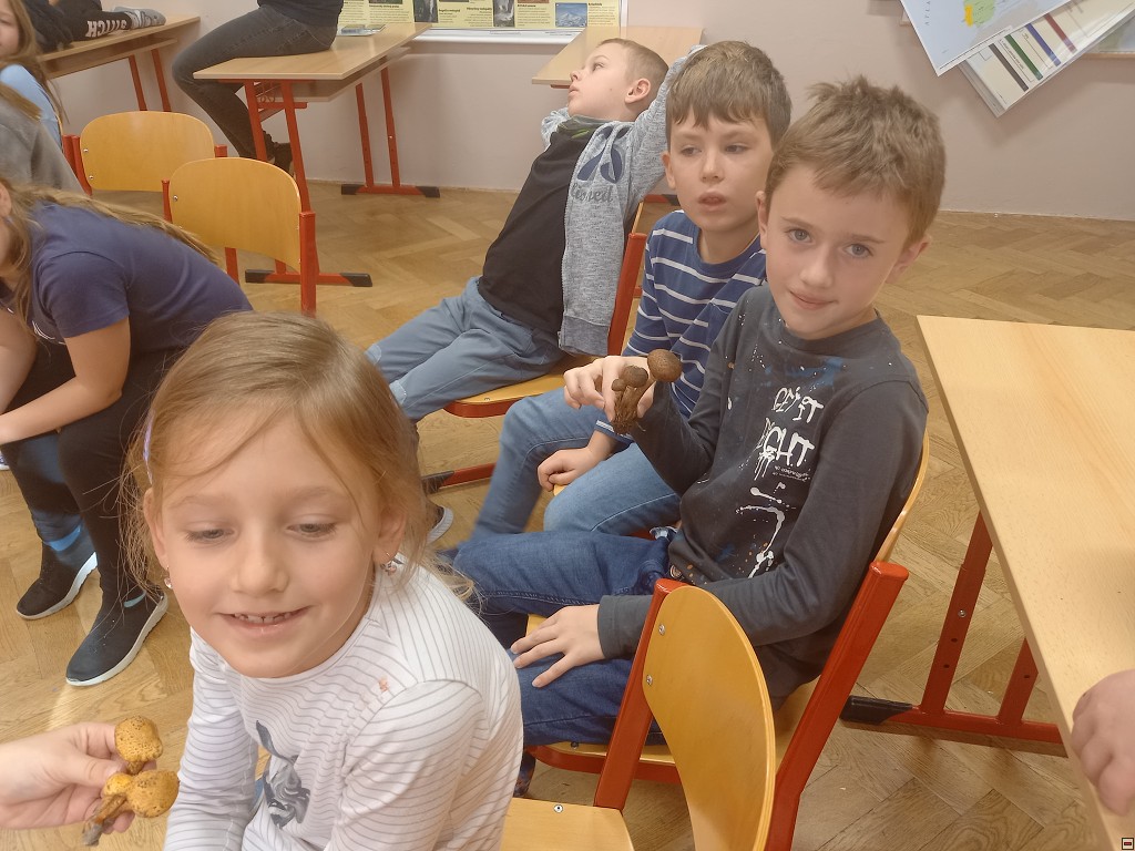 img00029.jpg