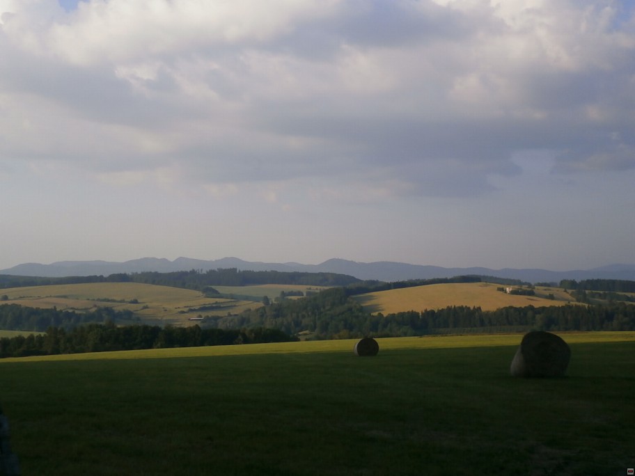img00031.jpg