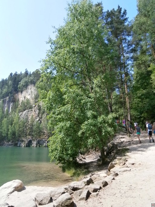 img00036.jpg
