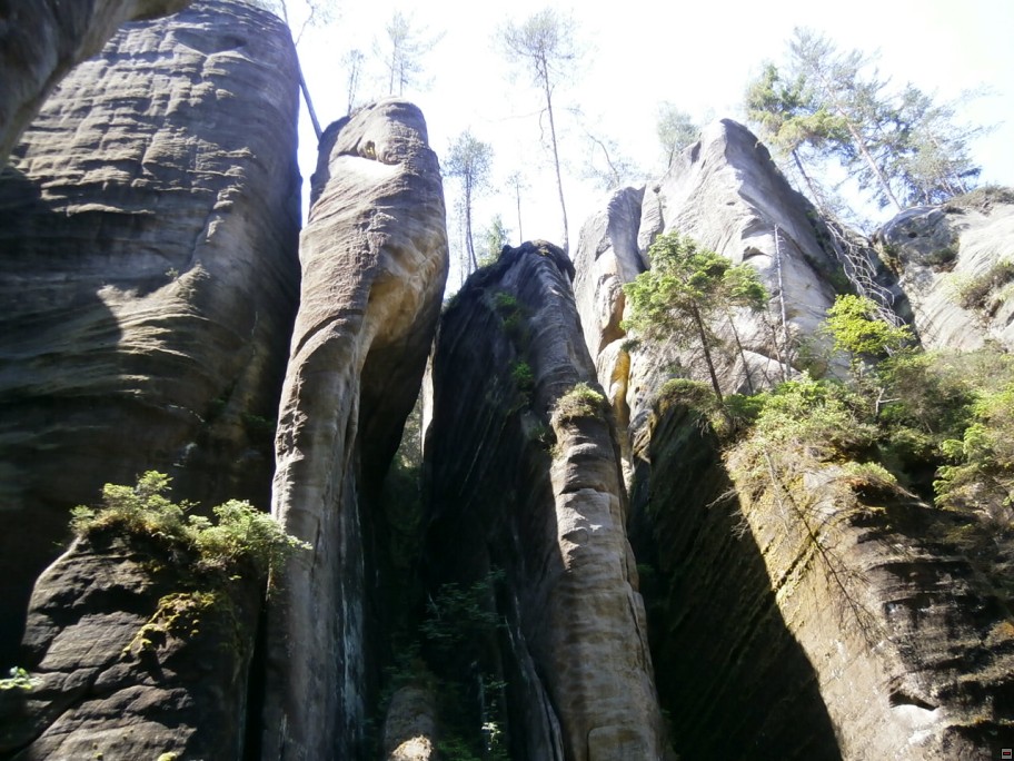 img00048.jpg