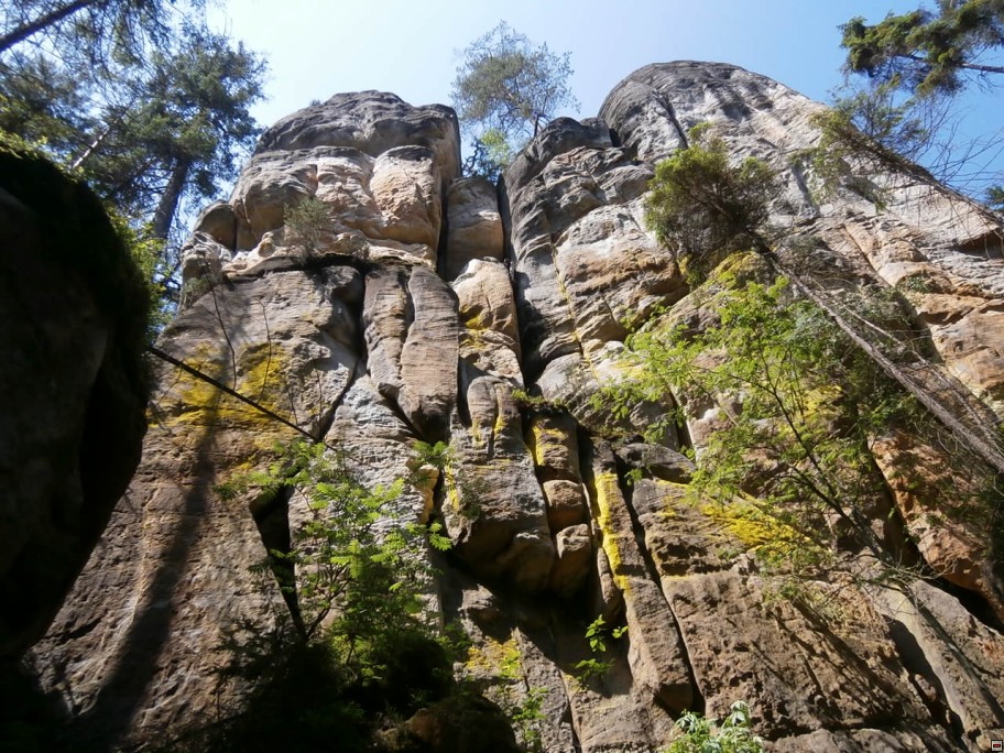 img00052.jpg