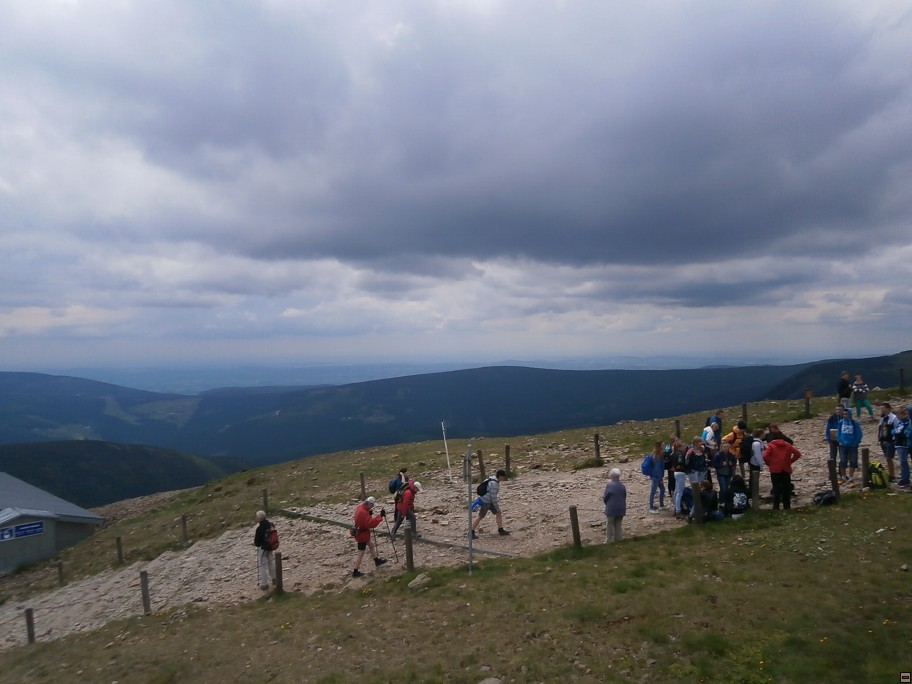 img00039.jpg