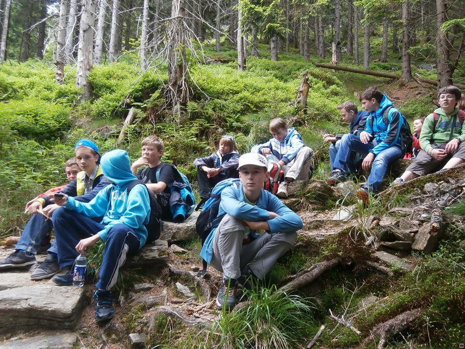 img00063.jpg