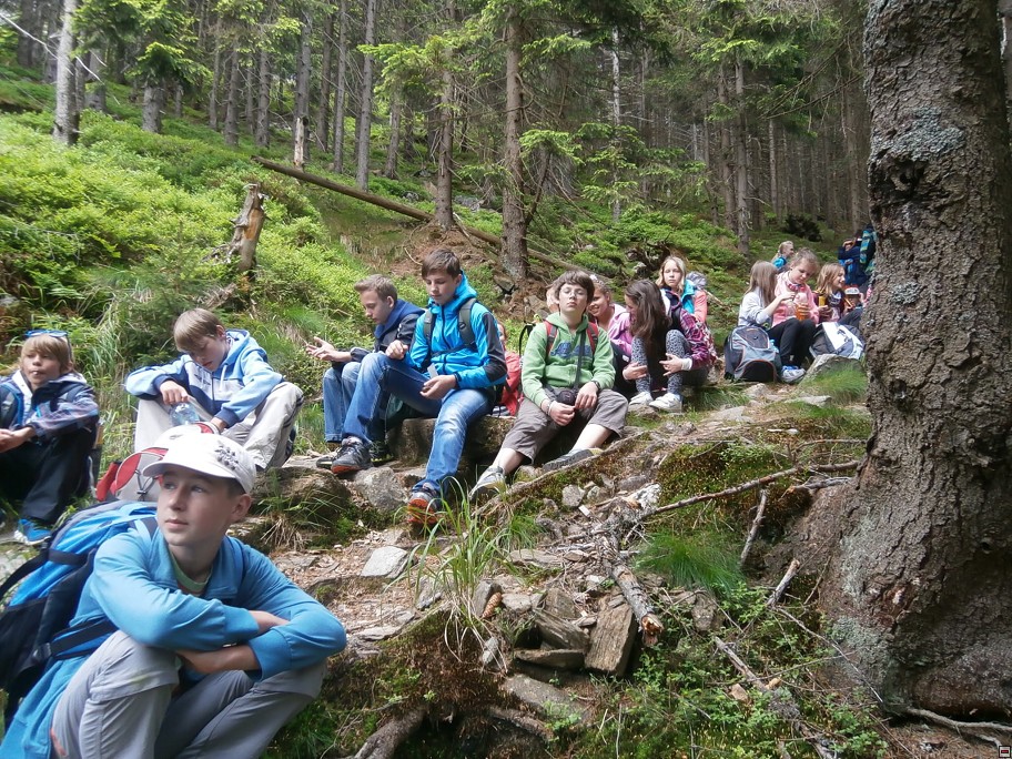 img00064.jpg