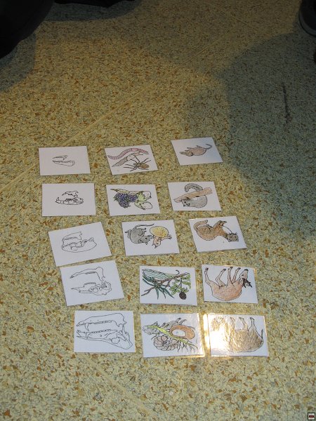 img00026.jpg